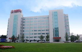 成都格瑞特進(jìn)出口貿(mào)易有限責(zé)任公司 專業(yè)進(jìn)出口代理服務(wù)，助力企業(yè)高效拓展國(guó)際市場(chǎng)