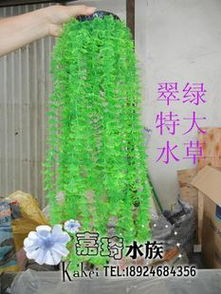 靈動(dòng)水下桃源 生態(tài)假山助力水族箱打造夢(mèng)幻魚樂(lè)世界
